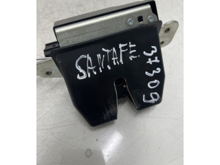 Ojnice Hyundai Santa Fe