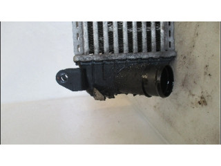 Интеркулер 8Z0145805E Audi A2 3.0