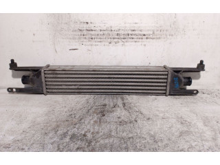 Интеркулер 55700449, 866450200JDEUS Fiat Grande Punto