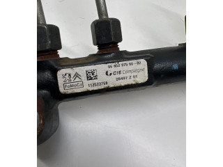 Топливная рампа 9685297580, 112523768   Peugeot 5008  