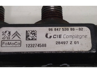 Топливная рампа 9684753080, 9664111780   Peugeot 5008   для двигателя 9H05