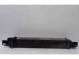 Интеркулер  176728   Citroen Nemo 