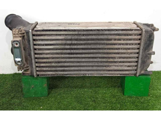 Интеркулер  300X150X80   Peugeot Partner 