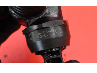 Форсунка 038130073BN, 038130073BN Volkswagen Cross Touran I