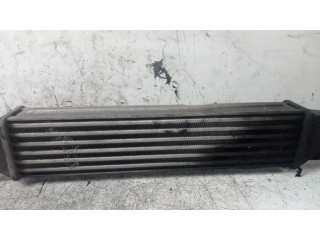 Интеркулер  INTERCOOLER   Fiat Punto (199) 1.2