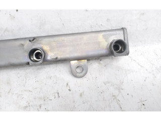 Топливная рампа Mitsubishi Outlander