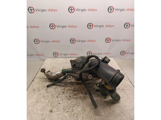 Turbodmychadlo Турбина 9685293080, 4917307507 Citroen Berlingo 9hv