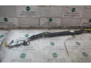 Подушка безопасности двери 3D1880741C, 3D1880741C   Volkswagen Phaeton