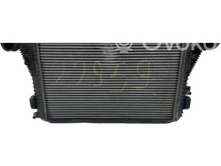 Интеркулер     Skoda Octavia Mk2 (1Z) 