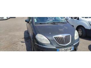 Zpětné zrcátko Lancia Musa 2008 735360564, 735360564