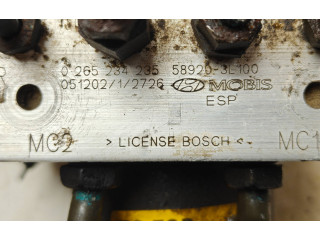 Píst 0265234235, 589203L100 Hyundai Grandeur