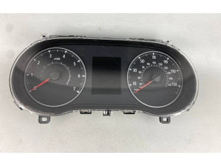 Панель приборов 248096153R, 248096153R Dacia Jogger