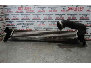 Интеркулер Skoda Rapid (NH)