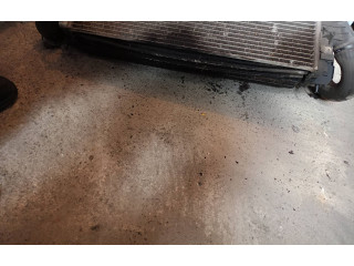 Vstřikovač Fiat Croma