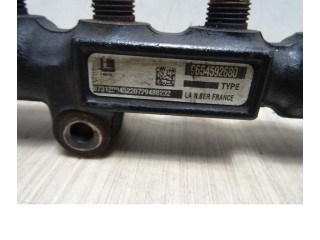 Топливная рампа 00001570G2, 00001570G2   Citroen C3  