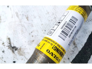 Надувная подушка для крыши 30698623, 30698623 Volvo S40