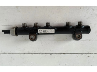 Топливная рампа 968529758002, 8H01   Citroen C3  