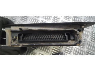 Řídící jednotka 9624519580, 0281001262 Peugeot 406 1996