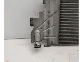 Интеркулер 8200685747, 8200252209 Renault Clio II