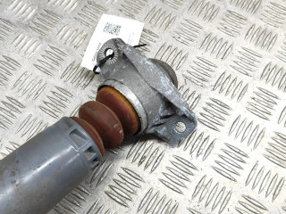 Задний aмортизатор      