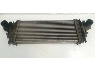 Интеркулер     Mercedes-Benz ML W164 