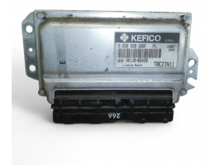 Řídící jednotka 3911002420, 3911002420   Hyundai Getz 2002