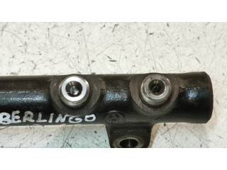 Vstřikovací lišta 9685297580, 121954560 Citroen Berlingo pro naftový motor 1.6