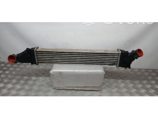 Интеркулер 8200424155 Dacia Logan I