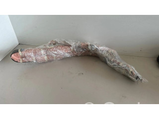 Боковая подушка безопасности 6982091, 6983091 Honda FR-V