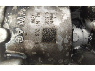 Čerpadlo oleje 04L145208H   Volkswagen Caddy   