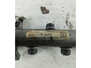 Vstřikovací lišta A6420700495 Mercedes-Benz CLS C219