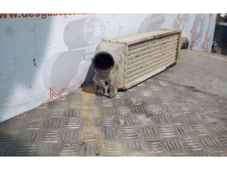 Интеркулер     Ford Transit -  Tourneo Connect 