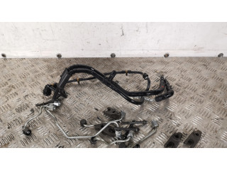 Форсунка 0445214321, 314002F600 Hyundai Santa Fe для дизельного двигателя 2.2