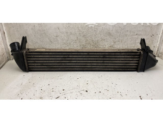 Интеркулер     Dacia Sandero 