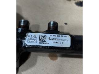 Vstřikovací lišta 9685297580, 141000058 Ford Turneo Courier UGCB