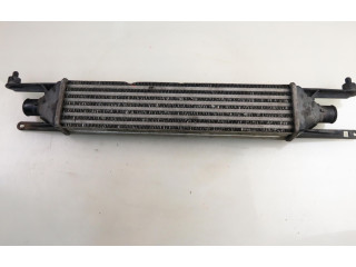 Интеркулер  866450200, 866450200   Fiat Punto (199) 