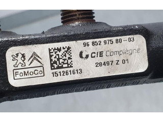 Топливная рампа 9685297580, CIECOMPIEGNE   Citroen DS3  
