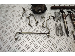 Комплект системы впрыска топлива 5WS40694, Bk2q9k546ag Ford Transit Custom cvff