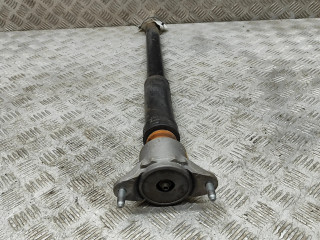 Задний aмортизатор      