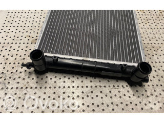 Радиатор охлаждающей жидкости    Ligier X-TOO