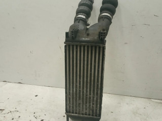 Интеркулер     Citroen Berlingo 