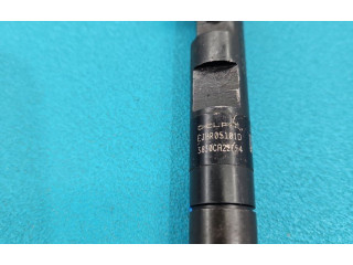 Форсунка EJBR05101D, IMPRK1439395 Dacia Logan I