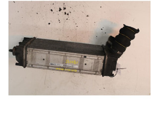 Интеркулер     Citroen Berlingo 1.6