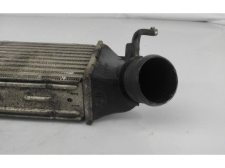 Интеркулер     Fiat Ulysse 