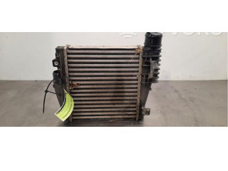 Интеркулер     Peugeot Partner III 