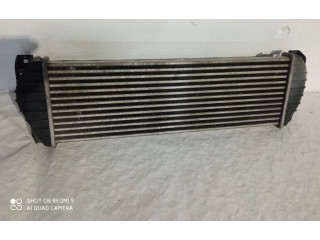 Интеркулер 621970 SsangYong Actyon sports I