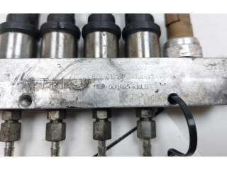 Топливная рампа 67R010185, 67R010185 KIA Ceed для двигателя G4FA