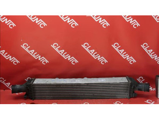 Интеркулер  8K0145805E, AU.013.23.3916   Mercedes-Benz E W124 