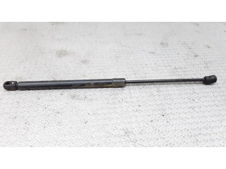 Задний амортизатор      