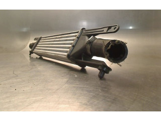 Интеркулер     Fiat Punto (199) 